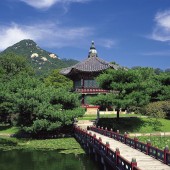 跨省试管婴儿医疗服务及报销政策详解